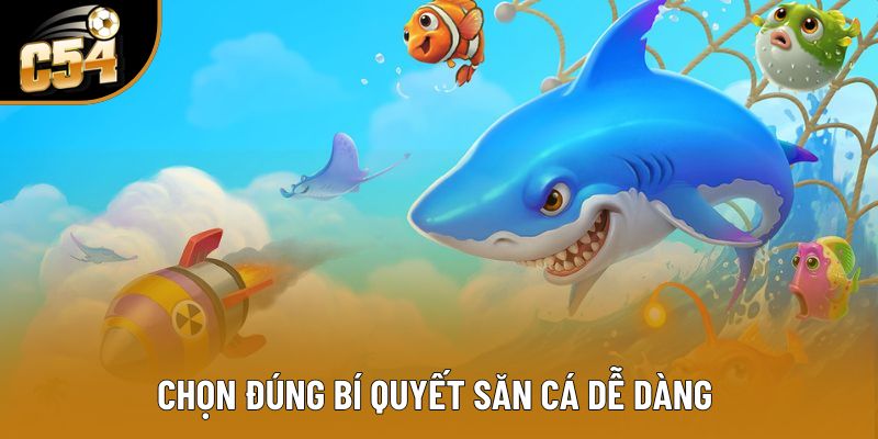 Chọn đúng bí quyết săn cá dễ dàng