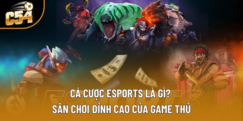 Cá Cược Esports Siêu Hấp Dẫn, Rinh Ngay Thưởng Siêu Tốc Cá Cược Esports Siêu Hấp Dẫn, Rinh Ngay Thưởng Siêu Tốc