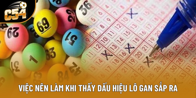 Việc nên làm khi thấy dấu hiệu lô gan sắp ra