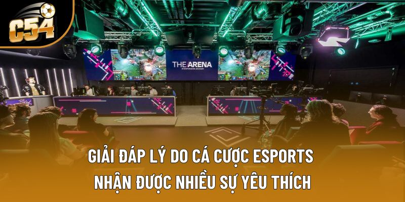 Giải đáp lý do cá cược esports nhận được nhiều sự yêu thích