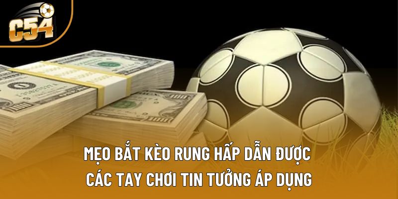 Mẹo bắt kèo rung hấp dẫn được các tay chơi tin tưởng áp dụng