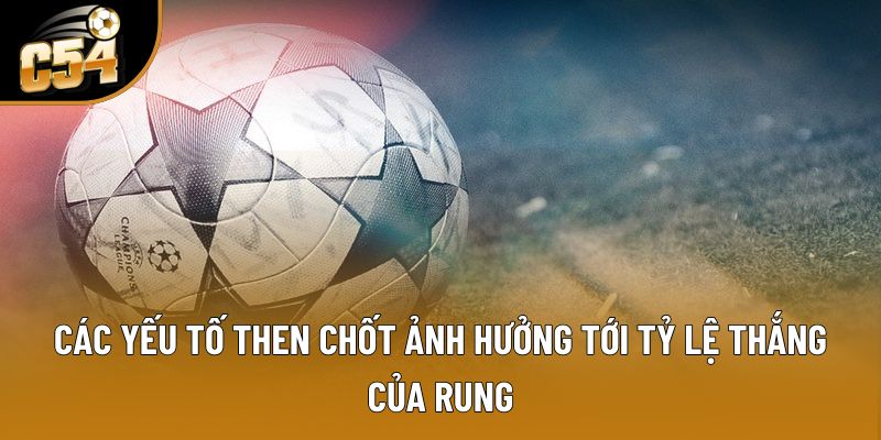 Các yếu tố then chốt ảnh hưởng tới tỷ lệ thắng của rung