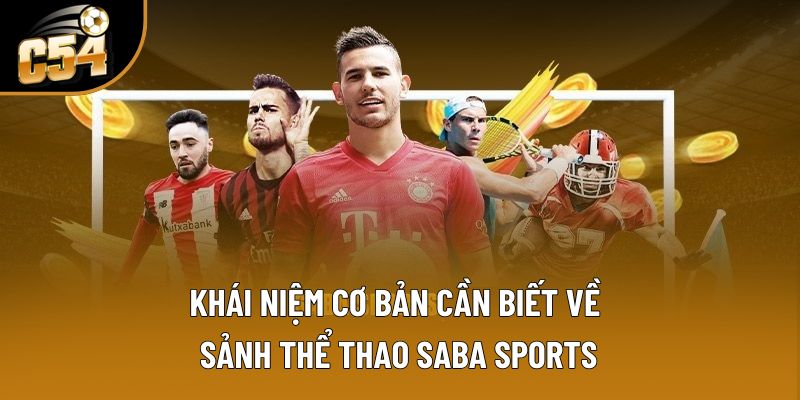 Khái niệm cơ bản cần biết về sảnh thể thao SABA Sports